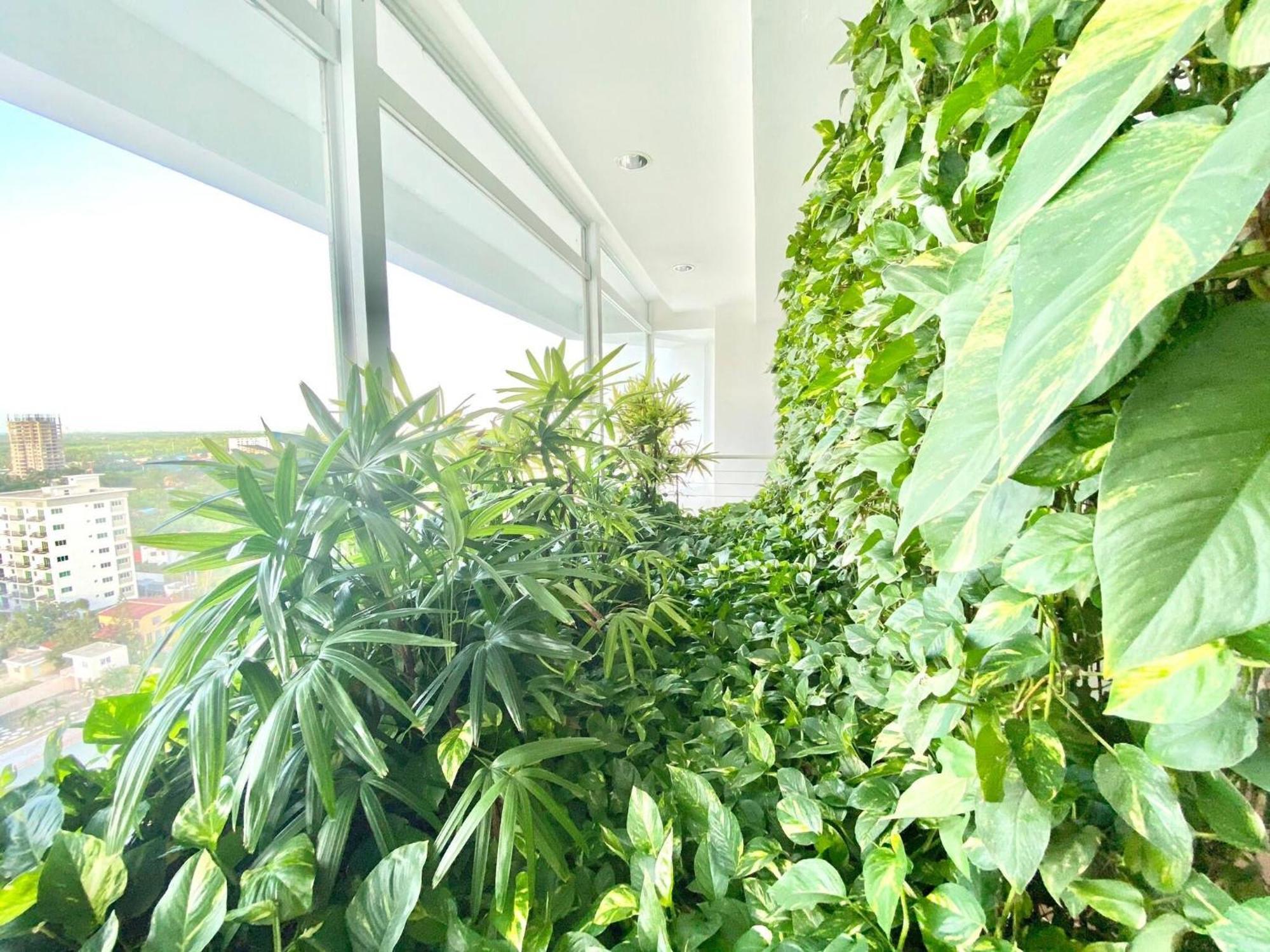 Marbella 2Bedroom Beachfrom Apt 산 페드로 데 마코리스 외부 사진